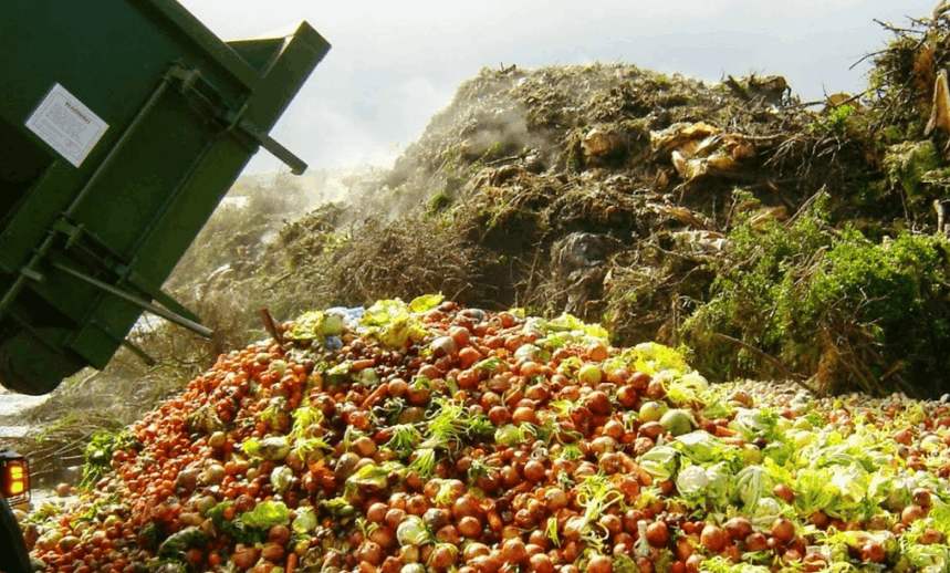 如何進行無害化果蔬垃圾處理?