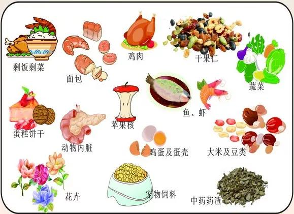 廚余垃圾處理設備可以處理哪些垃圾?